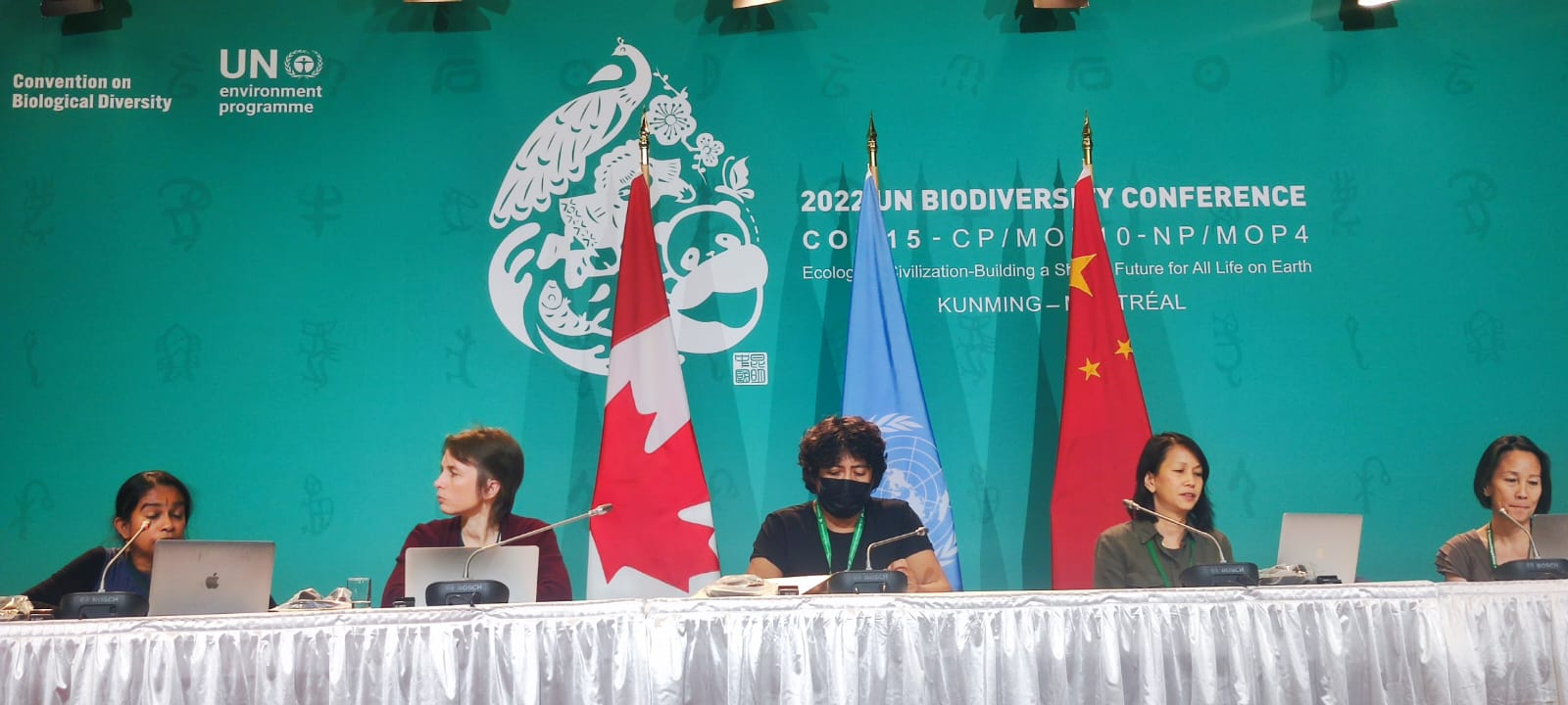 ¿Un nuevo Marco Global de Biodiversidad o un Fraude Global de Biodiversidad?