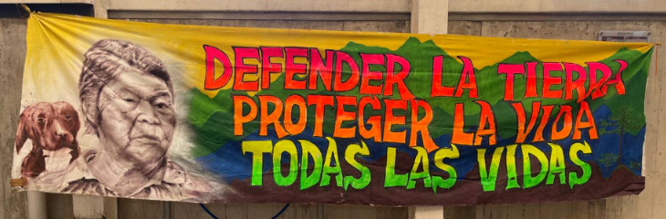 IV Encuentro Latinoamericano y del Caribe por la Justicia Climática: territorios en resistencia frente a las falsas soluciones al cambio climático