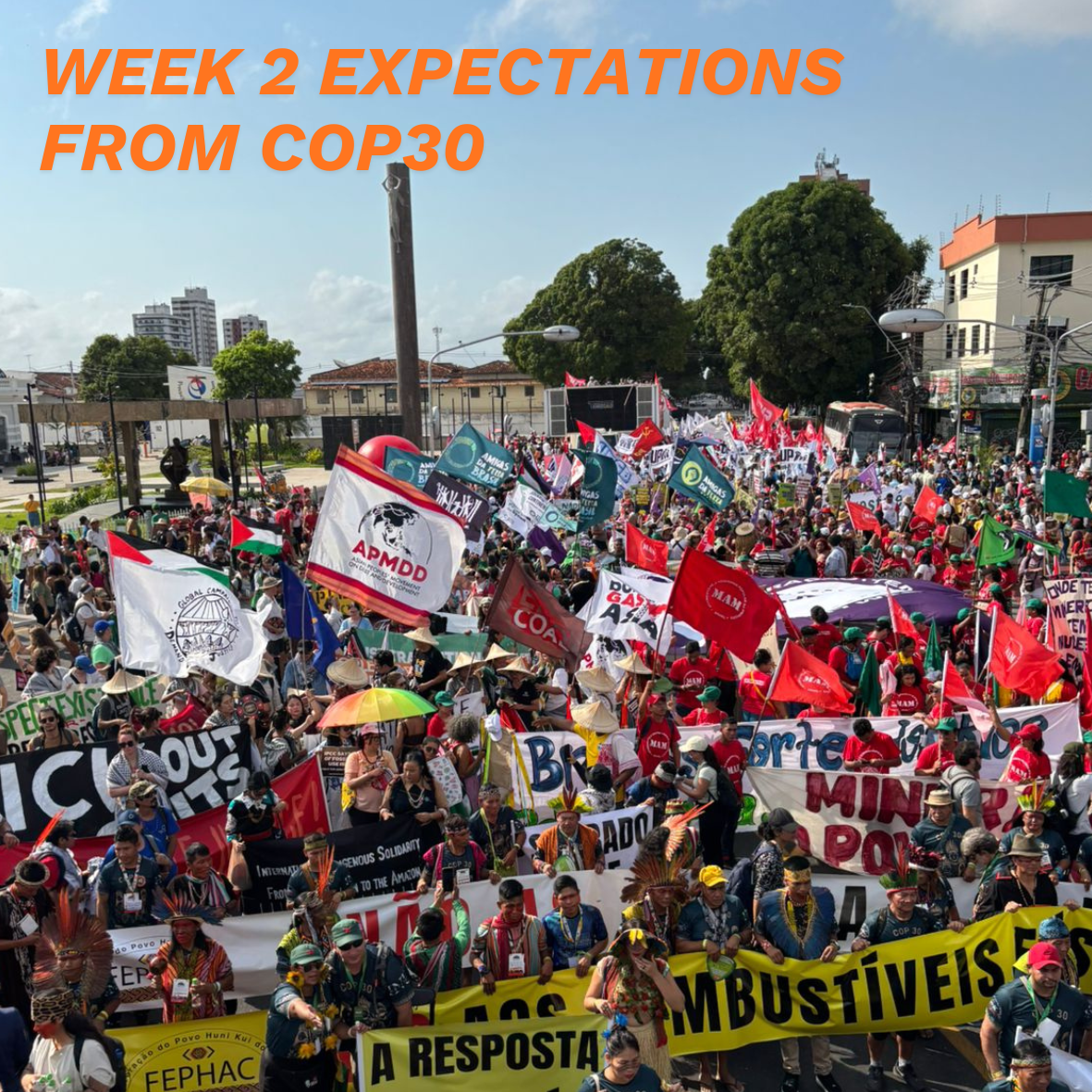 From the streets to COP30: The peoples have spoken, but are world leaders listening? 